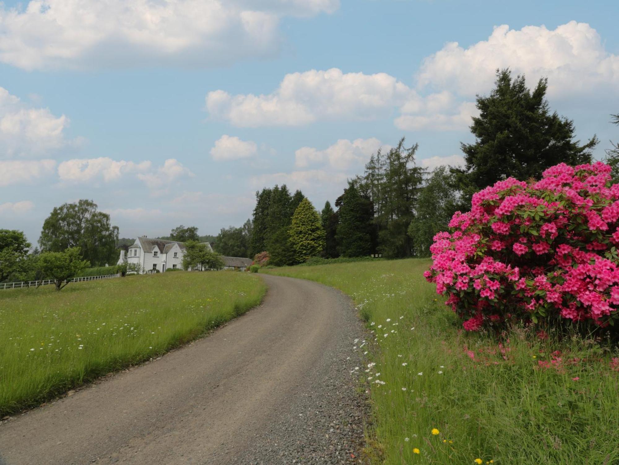 Fordie Lodge Crieff Bagian luar foto